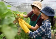 7 Prospek Kerja Lulusan Penyuluhan dan Komunikasi Pertanian UGM