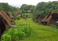 3 Kampung Adat Di Pulau Flores Nusa Tenggara Timur, Memiliki Tradisi 