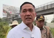 Viral Ucapan Enjoy soal Kabut Asap, Wali Kota Palembang Ratu Dewa Minta Maaf