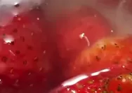 Heboh! Puding Stroberi Program MBG di SD Malang Diduga Berisi Belatung Hidup