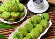Wah Pasti Tergiur Cicipi Kue Bika Ambon yang Satu Ini, Warnanya Cantik Dijamin Lezat
