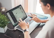 Pikir - Pikir Dulu Tarik Pajak di Sektor Online, Rojali Rohana Juga Marak Bertebaran di E-commerce