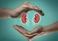 Tanpa Disadari, Lima Rutinitas Harian Ini Diam-diam Bisa Picu Batu Ginjal di Tubuhmu