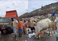 Prof. Prabang Ajak Kader Muhammadiyah Rawat Bumi dengan Iman dan Tindakan