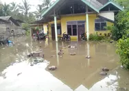 Banjir Bandang Pohuwato Surut, Tim Gabungan dan Warga Bersihkan Lingkungan