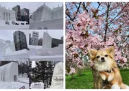 Seri Kota Unik Dunia, Bagian 2: Sapporo Ibukota Hokkaido, Terkenal dengan Festival Salju dan Banyak Pusat Budaya Suku Ainu! 