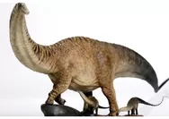 Seri Jenis-Jenis Dinosaurus, Bagian 3: Apatosaurus, Dinosaurus Berleher Panjang Alias Sauropod yang Hidup di Amerika pada Zaman Jurassic