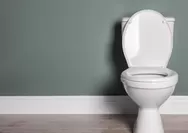 3 Cara Hilangkan Kerak Toilet, Langsung Kinclong!