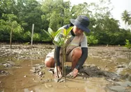 Kawasan Industri IMIP di Morowali Kembali Borong Tiga Penghargaan CSR Award 2025 atas Komitmen Berkelanjutan