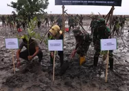 Bersatu dengan Alam, Kodim 1311/Morowali Gelar Aksi Tanam Mangrove di Desa Ipi