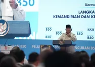 Biodiesel B50 Jadi Strategi Baru Mengoptimalkan Sawit Demi Ketahanan Energi dan Pertumbuhan Ekonomi 