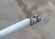 Miris, 7,4 Persen Perokok di Indonesia Berusia 10 sampai 18 Tahun