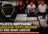 Selamatkan Ekosistem Laut, Polresta Banyuwangi Bongkar Jaringan Perdagangan Ilegal Benih Lobster
