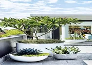 Cuma Ubah Bagian Depan Rumah, Tampilan Langsung Naik Kelas: Ini 10 Inspirasi Teras Modern! 