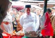 Usai Terima Laporan Kenaikan, Mentan Amran Sidak Pasar, Harga Langsung Turun 15 Ribu