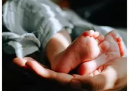Viral Penggerebekan Rumah Bidan di Pakem Sleman, Terungkap jadi Tempat Penitipan 11 Bayi Tanpa Izin Operasional
