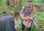 Polsek Sambi Rampas dan Warga Nangalok Gotong Royong Buka Jalur Alternatif Pascabanjir Kali Namerempa