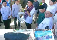 Sapi Kurban Presiden "Siloam" 1,1 Ton Diserahkan di UMK, Gubernur NTT: Ini Simbol Solidaritas dan Gotong Royong