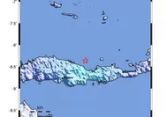 Gempa 4,6 M Guncang Mbay Nagekeo NTT, BMKG: Tetap Tenang dan Jangan Panik 