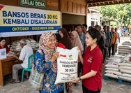 Bansos Beras 30 Kg Cair Lagi Oktober-Desember 2026, Ini Cara Cek Penerima Lewat HP