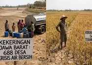 Kekeringan Makin Meluas di Jawa Barat, Belasan Ribu Hektare Sawah Terancam dan Ratusan Ribu Warga Krisis Air
