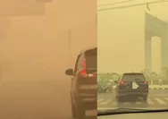 Palangka Raya Kembali Diselimuti Kabut Asap, 48 Warga Mulai Datangi Ruang Oksigen