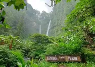 Tersembunyi di Balik Kabut Sukabumi, Lembah Purba Tawarkan Pesona Alam Memesona