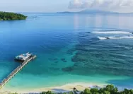 Jelajahi 7 Wisata Terbaik di Taman Nasional Ujung Kulon, Ada Sungai Mirip Amazon yang Viral