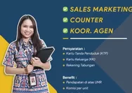 Masih Menganggur di Ruteng? Buruan Hubungi Kontak Ini Sebelum Lowongan NSC Finance Ditutup!