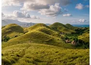 Bikin Takjub! 5 Bukit di Sumba Ini Punya Pesona Alam yang Bikin Susah Berpaling