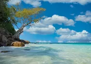  Pantai Ligota, Permata Wisata Manggarai Timur yang Menyatukan Keindahan Alam dan Kehidupan Masyarakat