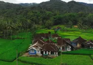 5 Wisata NTT yang Wajib Dikunjungi, Nomor 4 Serasa di Negeri Atas Awan