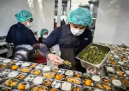 Januari 2026, Bupati Bogor Komitmen Tuntaskan Semua Pembangunan Dapur MBG