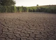 Cara Mengatasi Sumur Kering Akibat Kemarau Panjang: Strategi Praktis untuk Kehidupan Sehari-hari