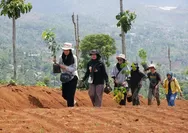 Krisis Kawasan Bandung Utara Butuh Solusi Pertanian Ekologis