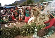 Papua Pegunungan Membangun Koperasi Untuk Menampung Hasil Bumi Masyarakat