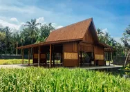 Liburan usai Ijen Geopark Run 2026, Jelajahi Desa Wisata Osing Kemiren Banyuwangi