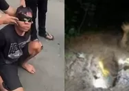 Gelap Mata Akibat judi online, Pemuda di Lahat Tega Lakukan mutilasi ibu kandung dan Kubur Jasad di Kebun