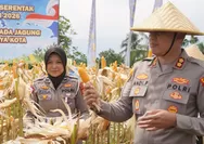 Panen Raya Jagung di Cisayong, Polres Tasikmalaya Kota Berhasil Produksi 10 Ton