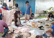 Penjualan Kulit Hewan Kurban Lebaran 1447 H di Kota Tasikmalaya Menurun, Harga Kulit Ikut Turun