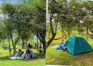 Rahasia Teh Jangkung Malabar Pangalengan, Wisata Kebun Teh Hits dari Jembatan Kayu yang Instagramable!