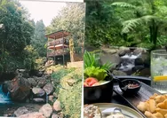 Sanubari Coffee and Eatery, Spot Wisata Kuliner Viral di Puncak Bogor dengan View Hutan dan Sungai