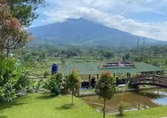Wisata Kuliner Sunda di Garut Ini Jadi Hidden Gem, RM Een Megawati Suguhkan Cita Rasa dan Panorama Alam