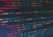 Gencar Beritakan Dugaan Korupsi, Media Mitra Promedia Group Dihantam Serangan DDoS hingga 160 Juta Request