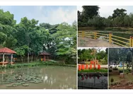 Wisata Kota Depok Kian Populer, Taman Lembah Gurame Jadi Tempat Wisata Gratis yang Adem dan Instagramable