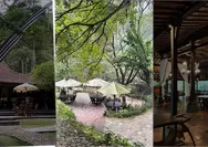 Wisata Kuliner Bogor Makin Dilirik, Teras Gadog Jadi Cafe Outdoor Asri Dekat Jakarta dan Puncak