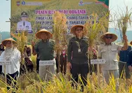 Panen Raya Klaster Padi Pamarican Capai 7,5 Ton per Hektare, Bank Indonesia Perkuat Ketahanan Pangan Ciamis