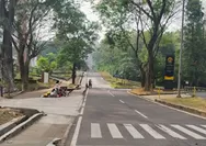 Tempat Jogging Paling Adem di Depok, Universitas Indonesia Jadi Favorit untuk Olahraga Minggu Pagi