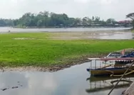 Situ Gede Kota Tasikmalaya Kering, Ekonomi Warga di Sekitar Situ Gede Ikut Terdampak
