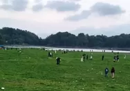 Rumput Hijau Situgede Jadi Magnet Wisatawan, Area Wisata Situgede Ramai Meski Air Surut
